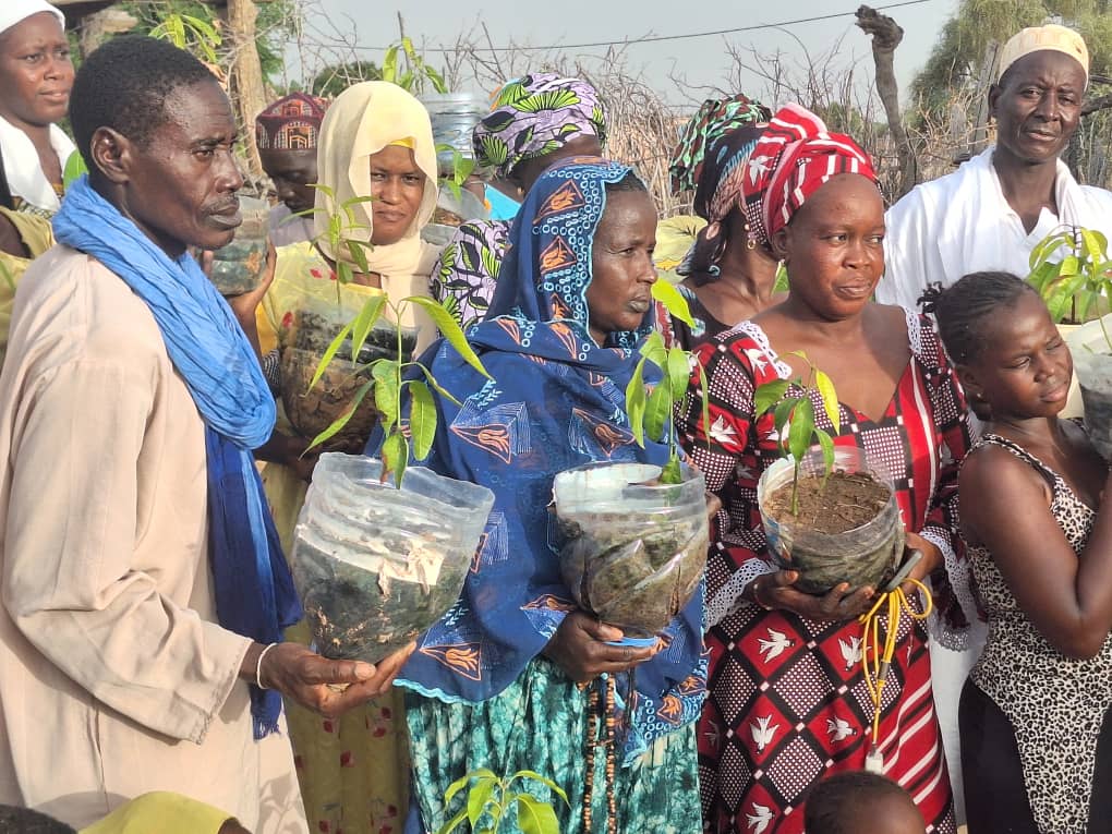L&rsquo;ADSF a procédé à Guiro au lancement du programme « une maison, un arbre fruitier »