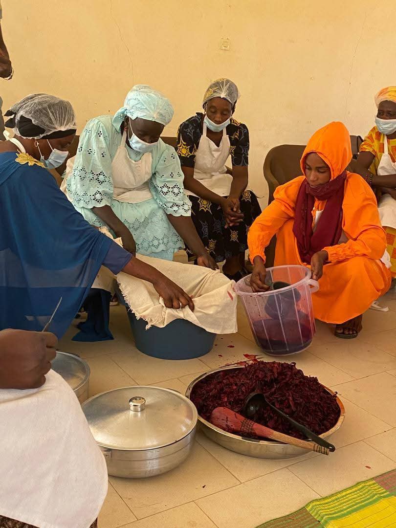 Formation des GPF du reseau ADDI DIAM LAO sur les techniques de transformation de fruits et légumes